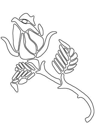 Rose 05 - Coloriages fleurs, fruits et légumes - Coloriages - 10doigts.fr